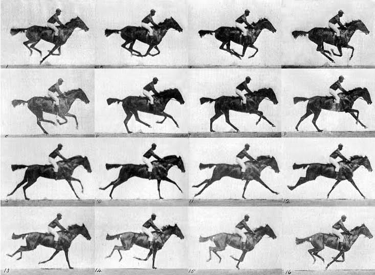 RACE-HORSE-MOVIE.jpg